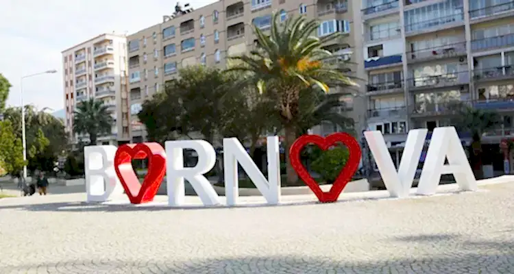 bornova temizlik şirketleri