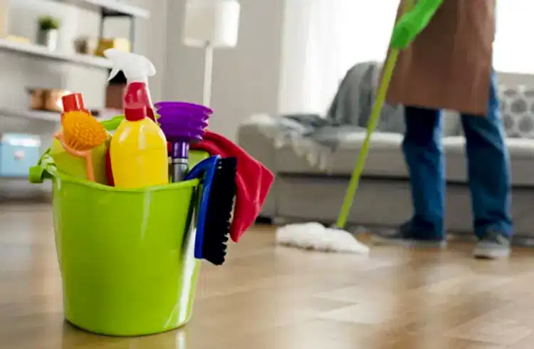 izmir ev temizlik şirketi