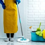 izmir bayraklı temizlik firmaları