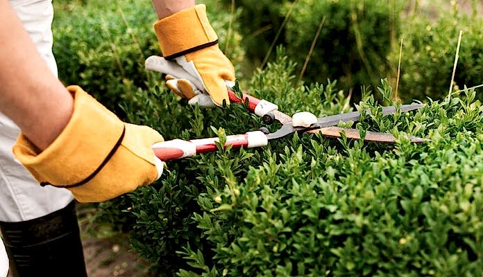 izmir peyzaj hizmetleri